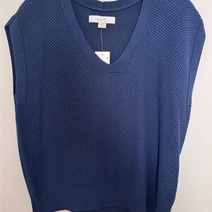 LOFT V-Neck Sweater in Deep Blue